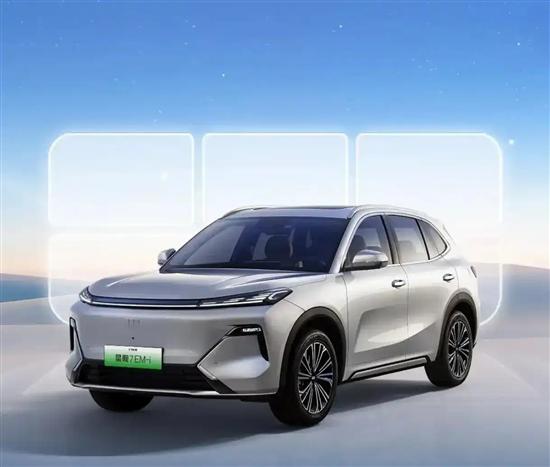 2026年1月中国车市：新能源阵营承压分化