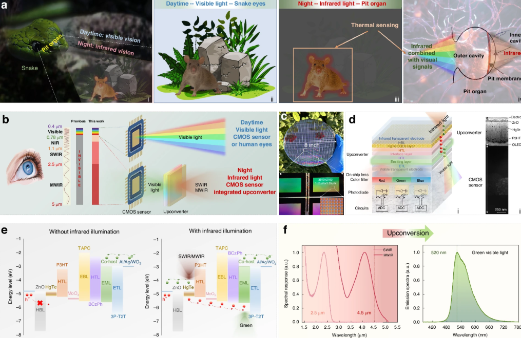 【全球汽车新技术观察】12月上期〡马瑞利推出Affordable 5G RedCap技术 用于车辆远程信息处理；英伟达发布自动驾驶开源AI模型Alpamayo-R1；受蛋清启发，KIMS开发高性能散热复合材料