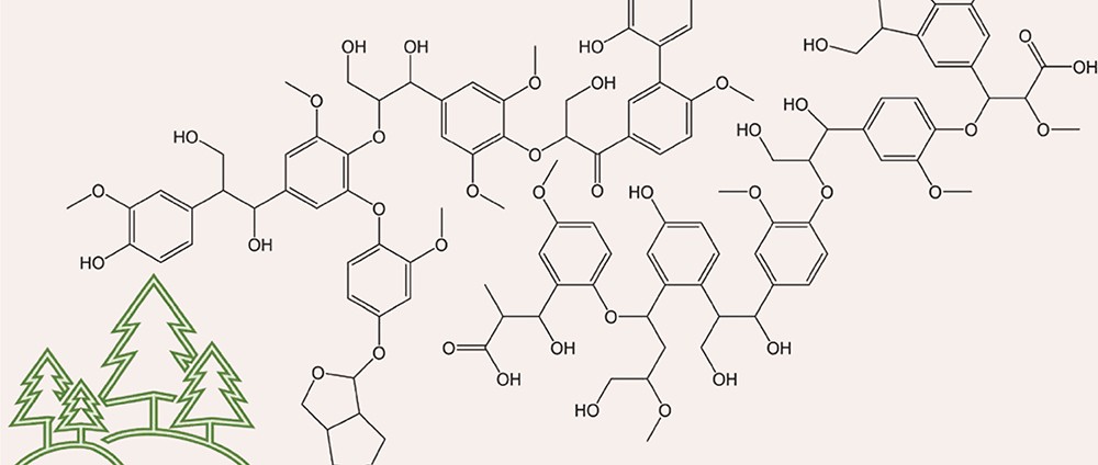 德国研究人员开发基于木质素的钠离子电池