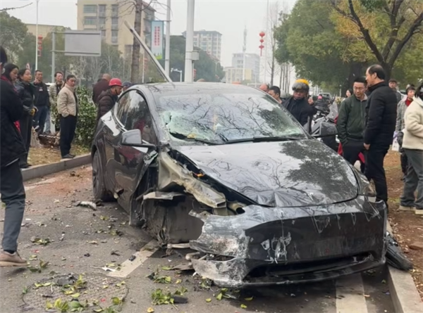 特斯拉Model Y路口突然失控 冲上绿化带原地起飞